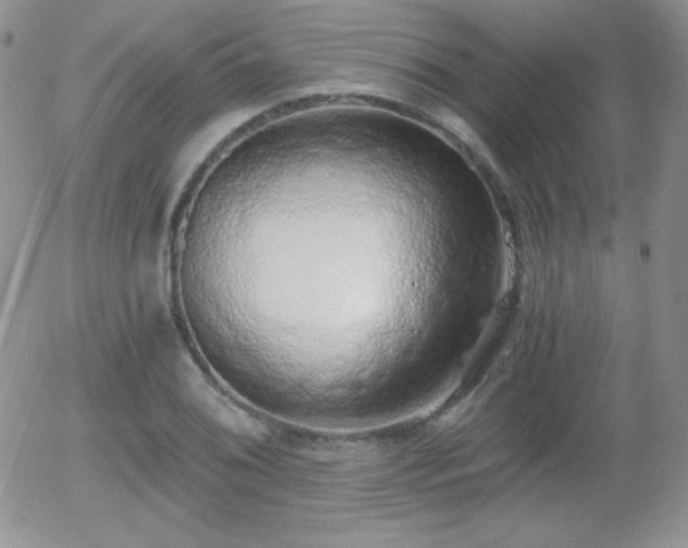 X0000056031076200508221508