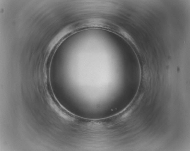 X0000056031082200508221508