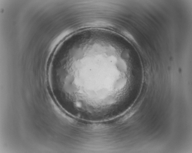 X0000056031087200508221508