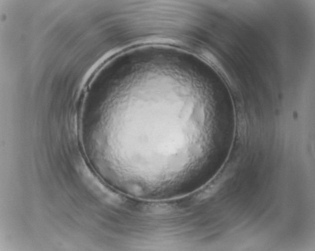 X0000056031092200508221508