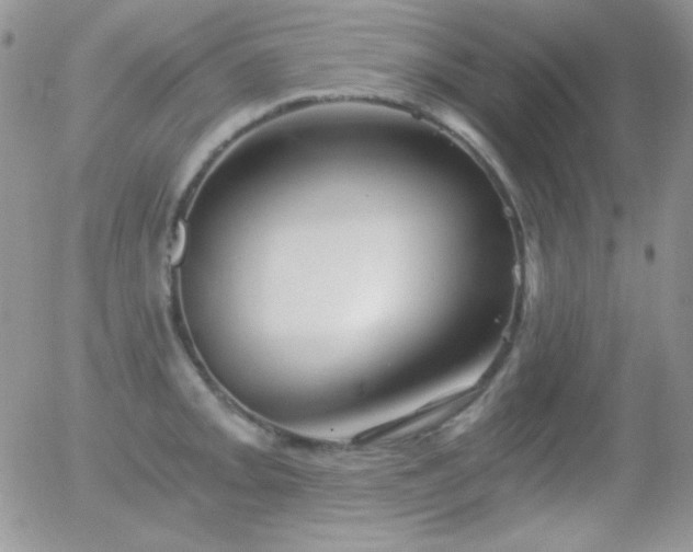 X0000056031093200508221508