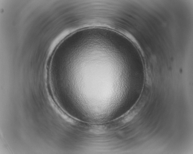 X0000056031096200508221508