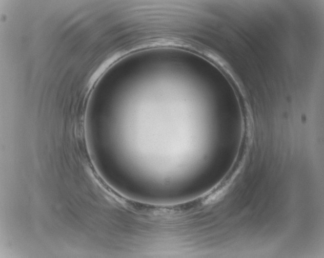 X0000056031097200508221508