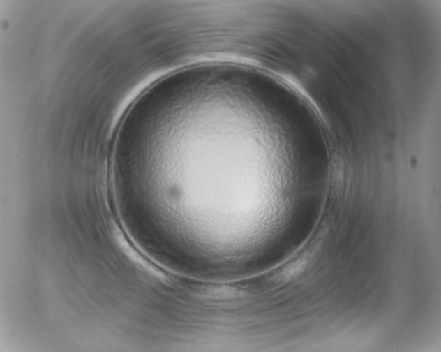 X0000056031100200508221508