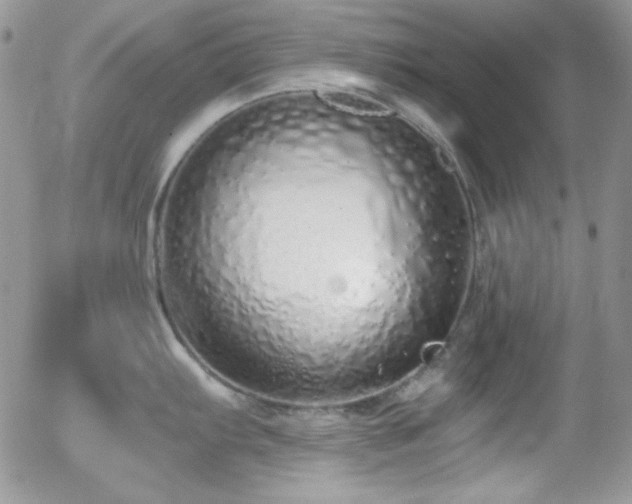 X0000056031103200508221508