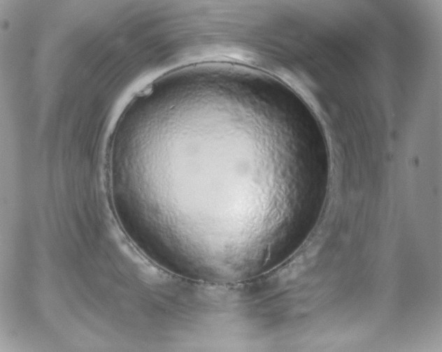 X0000056031104200508221508