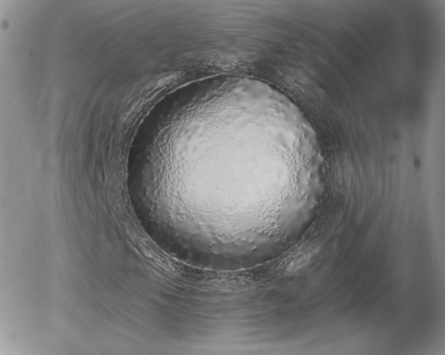 X0000056031105200508221507