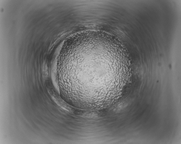 X0000056031106200508221507