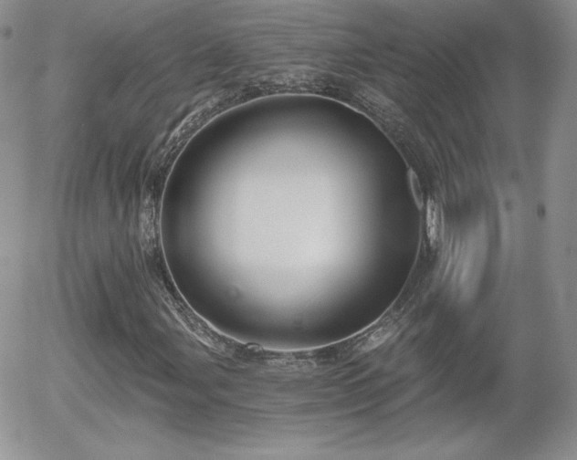 X0000056031107200508221507