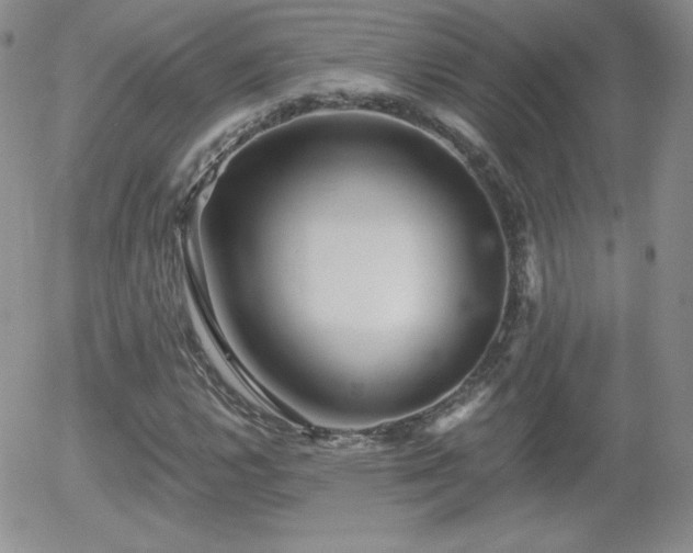 X0000056031112200508221507