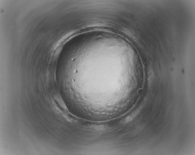 X0000056031121200508221507