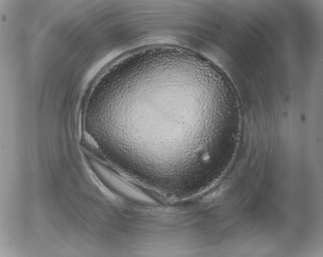 X0000056031127200508221507