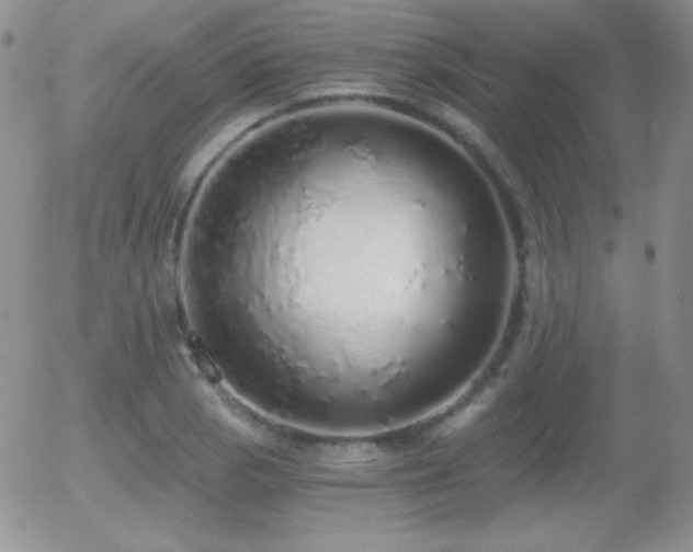 X0000056031129200508221507