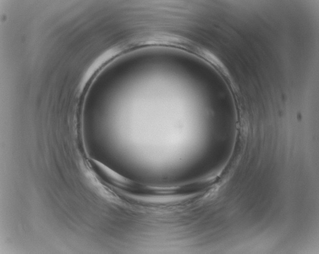 X0000056031138200508221507