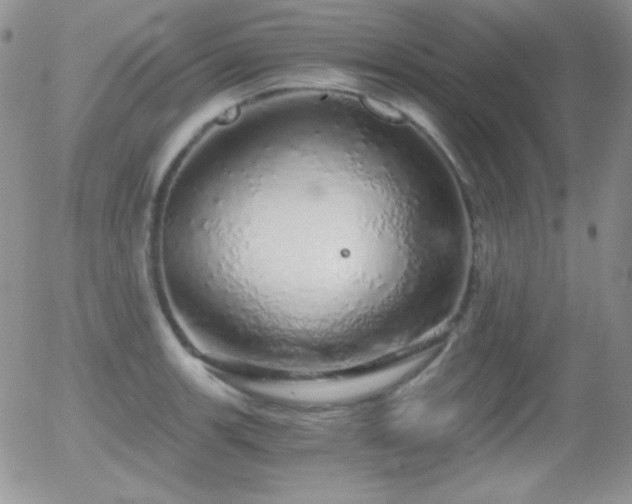 X0000056031139200508221507
