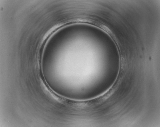 X0000056031141200508221507