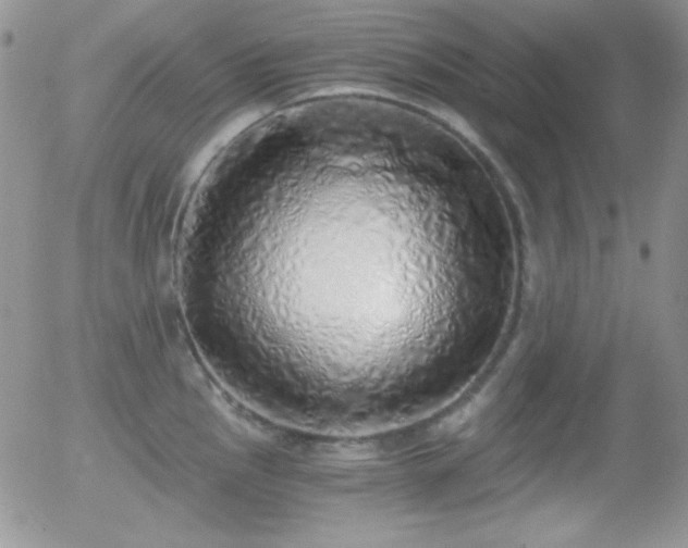 X0000056031145200508221507