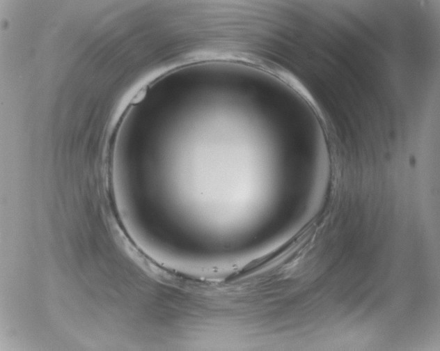 X0000056031148200508221507