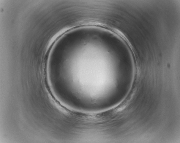 X0000056031149200508221507