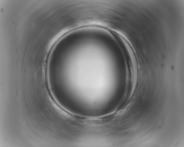 X0000056031151200508221508