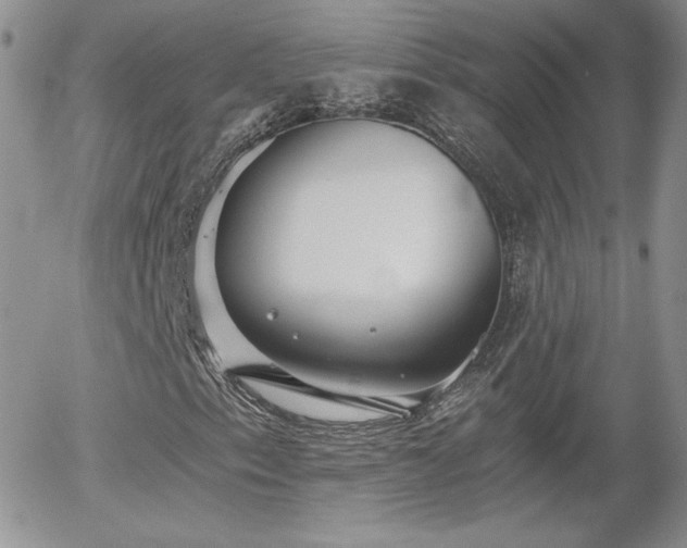 X0000056031153200508221507