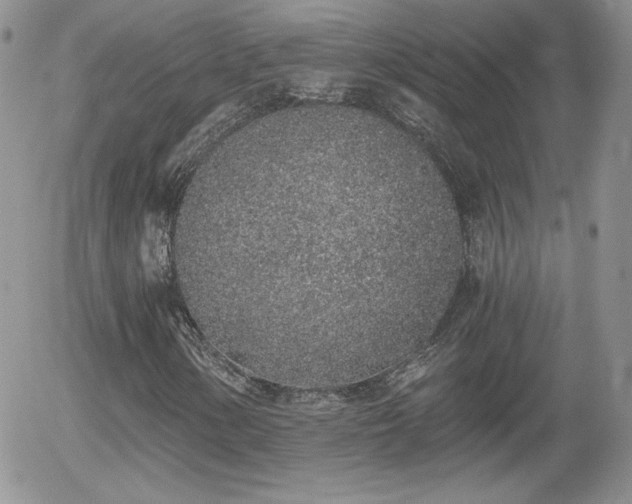 X0000056031154200508221507