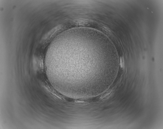 X0000056031155200508221507