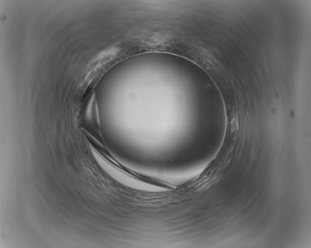 X0000056031156200508221507