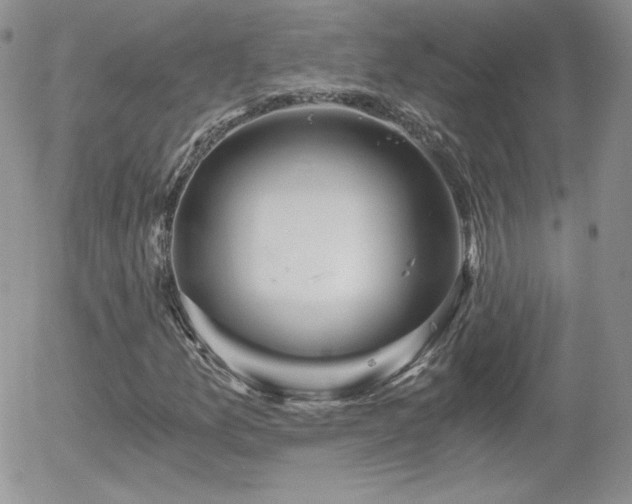 X0000056031157200508221507