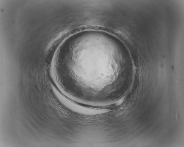 X0000056031159200508221507