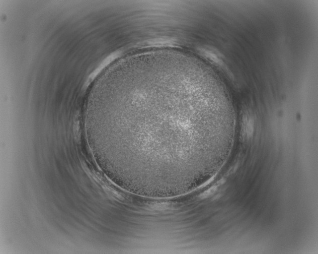 X0000056031162200508221507