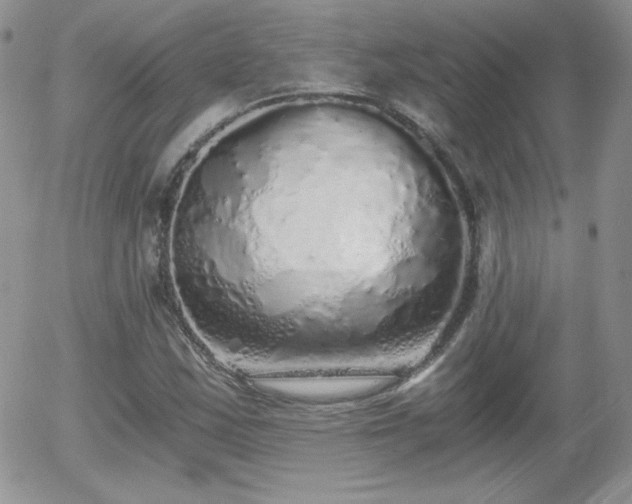 X0000056031163200508221507