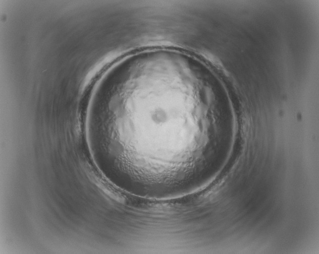 X0000056031167200508221507