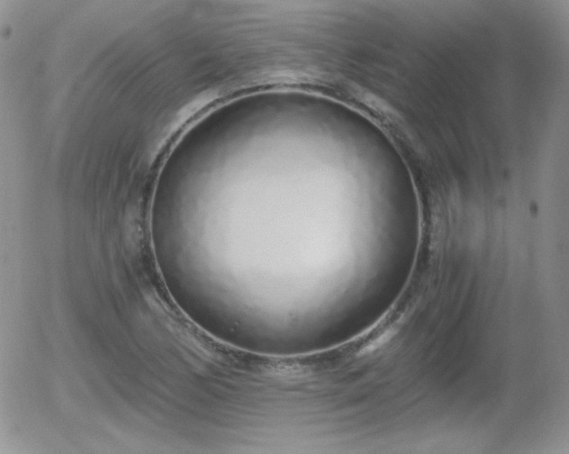 X0000056031170200508221506
