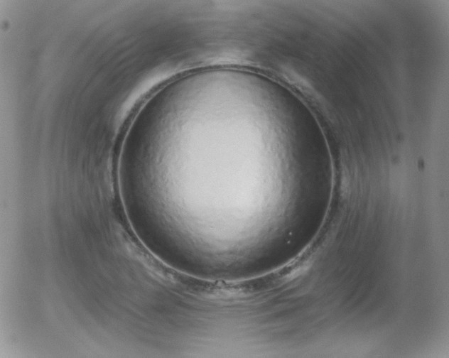 X0000056031174200508221506