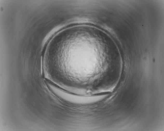 X0000056031175200508221506