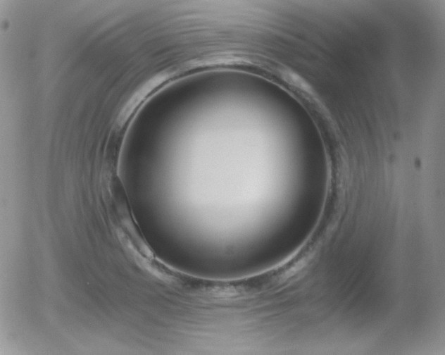 X0000056031177200508221506