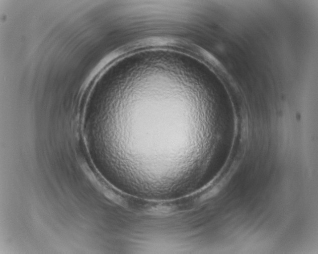 X0000056031178200508221506