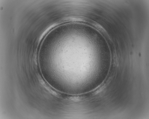 X0000056031182200508221506