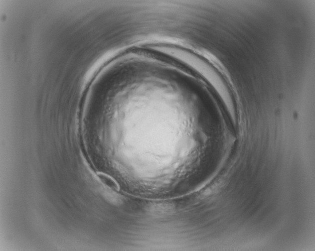 X0000056031183200508221506