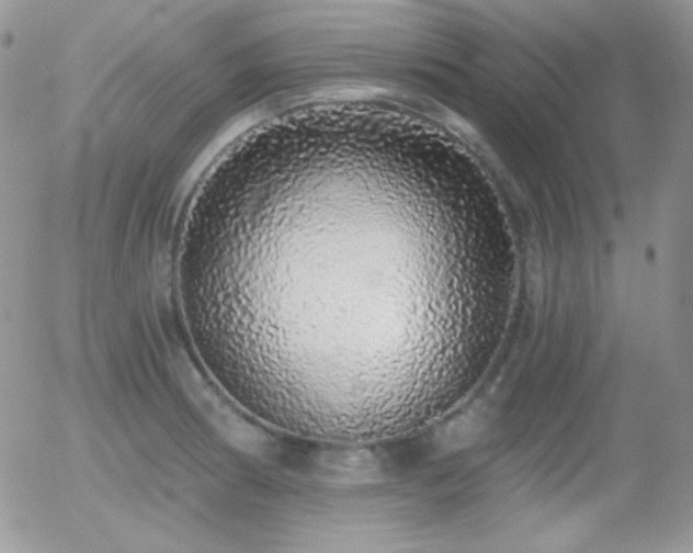 X0000056031186200508221506
