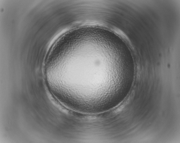 X0000056031190200508221506