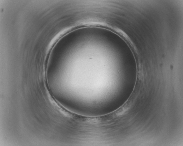 X0000056031191200508221506