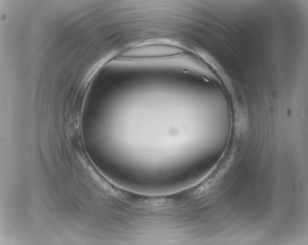 X0000056031193200508221506