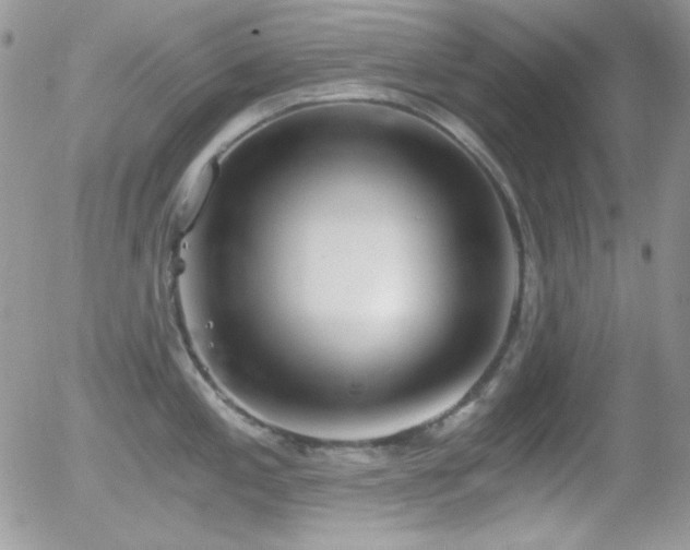 X0000056031197200508221506