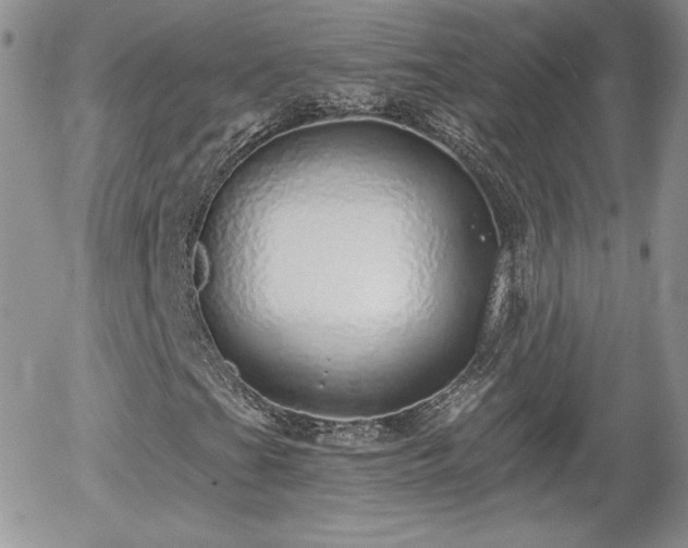 X0000056031201200508221505