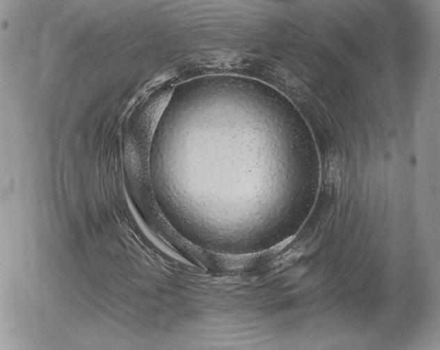 X0000056031202200508221505