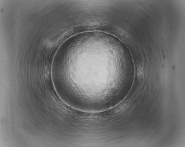 X0000056031204200508221505