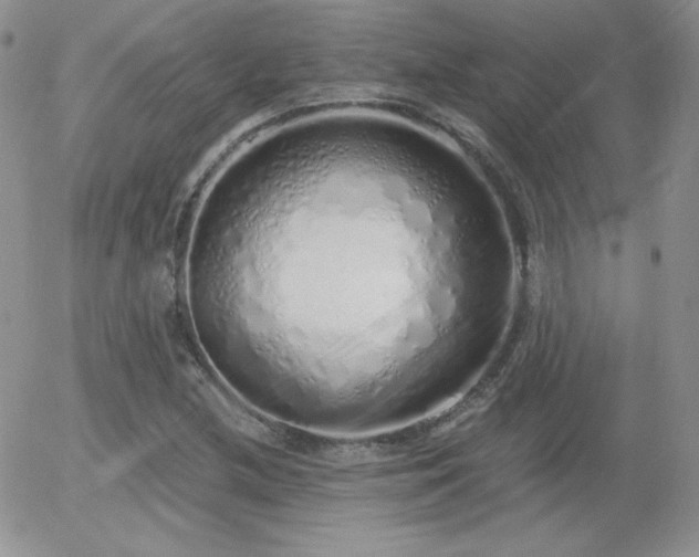 X0000056031212200508221505