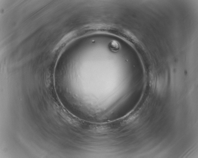 X0000056031213200508221505